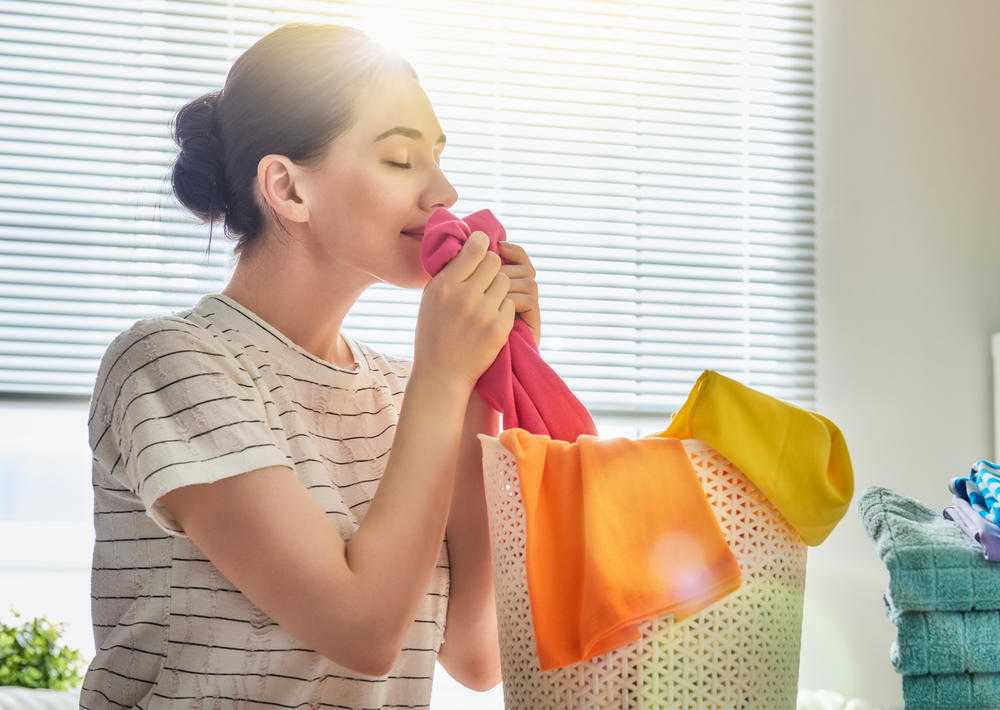 18 простых способов избавиться от неприятных запахов с дивана