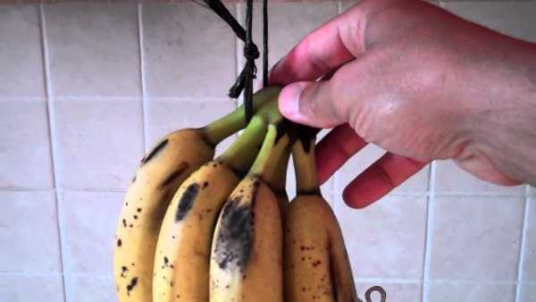 Как хранить бананы, чтобы они не чернели дома: причины порчи, способы хранения