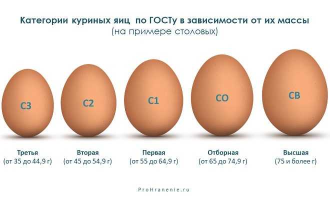 Каков срок годности яиц