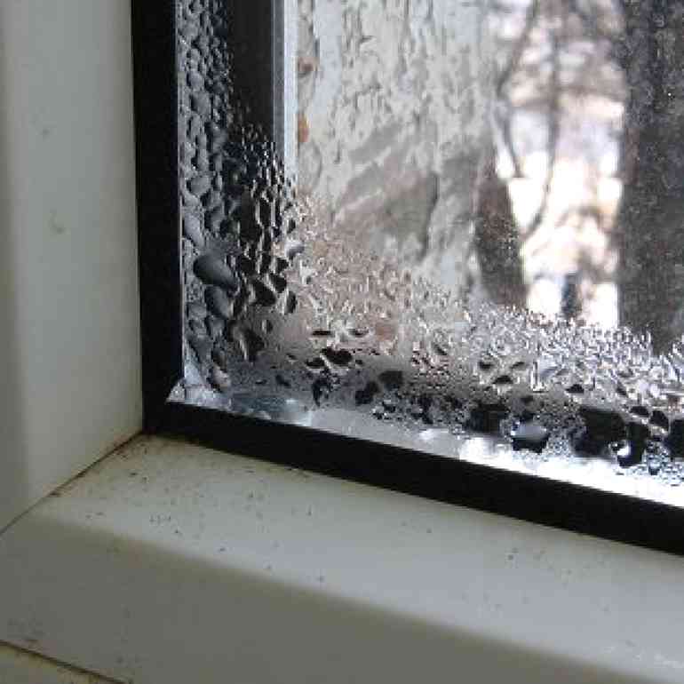 Плесень на пластиковых окнах: как избавиться, чем отмыть