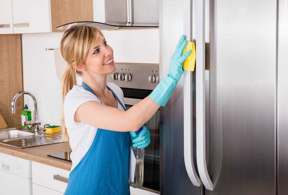 Как и чем помыть холодильник внутри чтобы не было неприятного запаха: в домашних условиях, полезные советы
