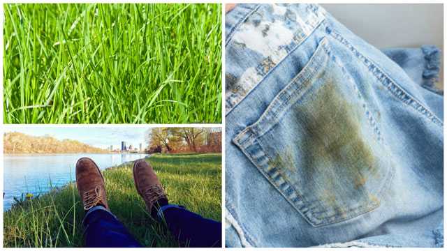 Как вывести жирное пятно с джинсов: 18 эффективных способов
