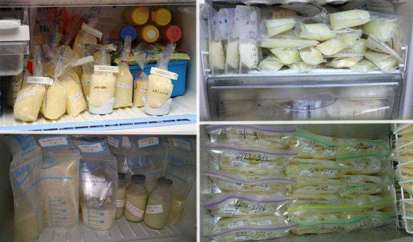 Сколько хранится грудное молоко в морозилке: можно ли хранить после сцеживания в замороженном виде, сроки хранения, правила заморозки в контейнере, пакетах
