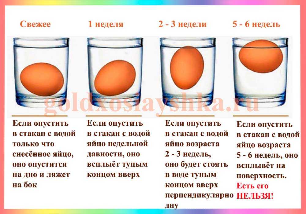 Сколько можно хранить яйца ( вырёные и сырые) в холодильнике. условия хранения яиц: правила безопасности - автор екатерина данилова - журнал женское мнение