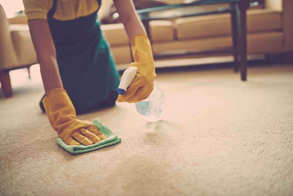 Как почистить ковер в домашних условиях: самые эффективные методы