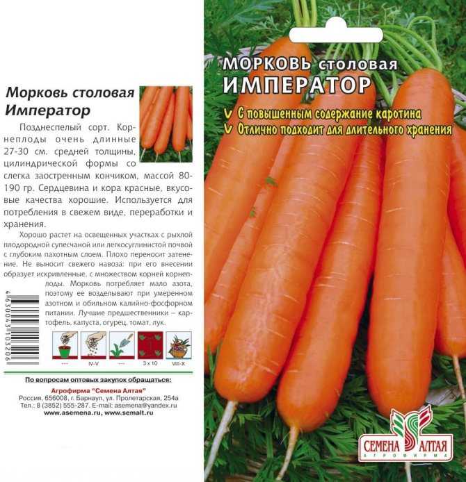 В этой статье представлен список самых лучших сортов моркови с названиями, предназначенных для длительного (зимнего) хранения: ранние, поздние, среднеспелые, крупные, сладкие