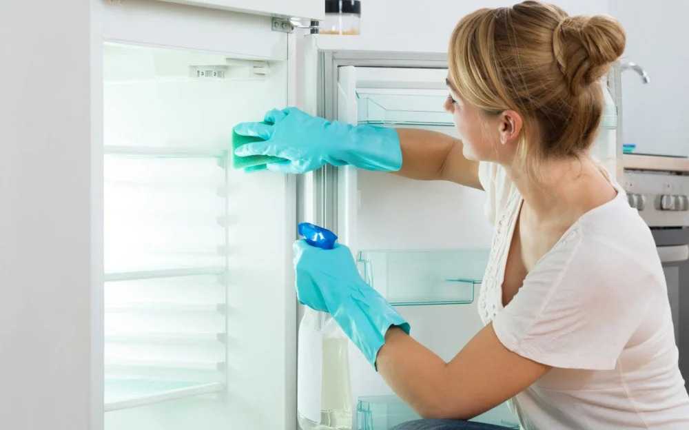 30 лучших средств для мытья холодильника внутри и снаружи, чем и как устранить запах