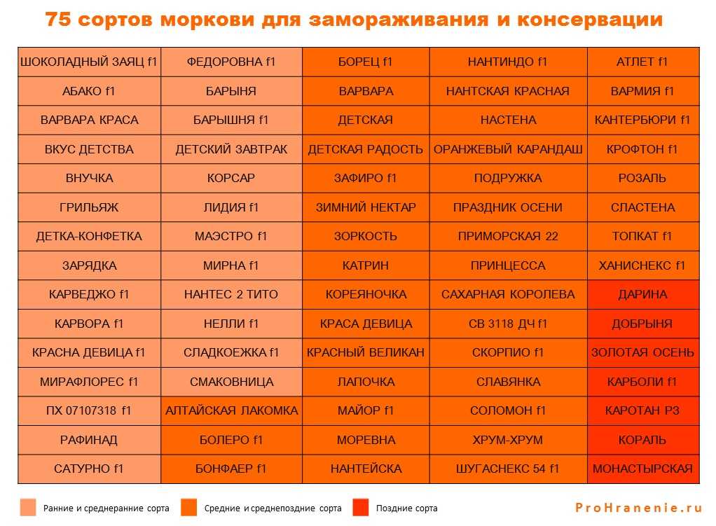 Подходящие сорта и срок хранения моркови