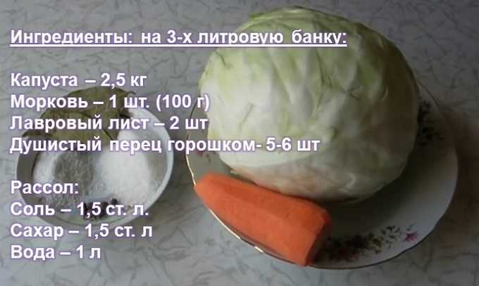 Температура хранения квашеной капусты. как хранить квашеную капусту: полезные советы