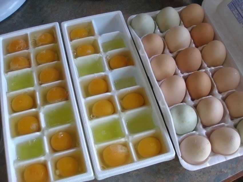 Можно ли замораживать куриные яйца: сырые, вареные. как правильно заморозить яйца в морозилке?