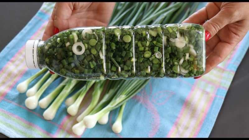 В этой статье расскажем, как сохранить зеленый лук в холодильнике, чтобы зелень как можно дольше оставалась свежей, как долго может храниться овощ, в какой таре лучше и при каких условиях