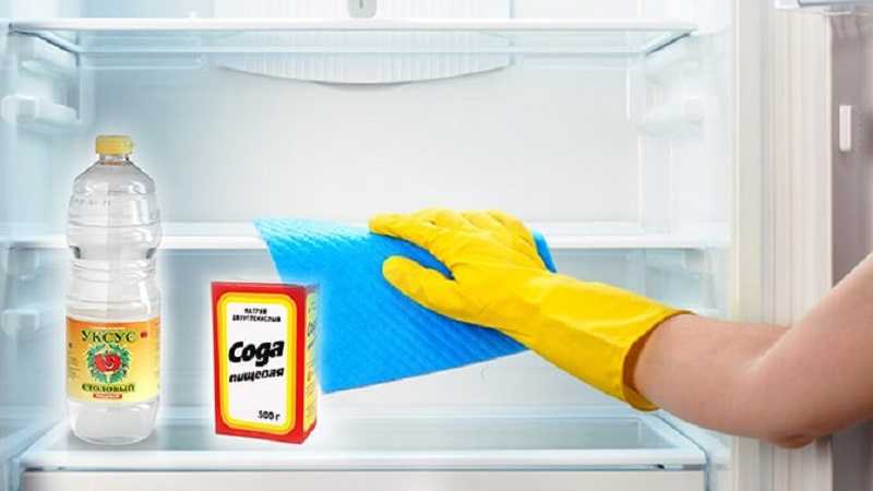 Чем мыть новый холодильник? – правильно перед первым включением