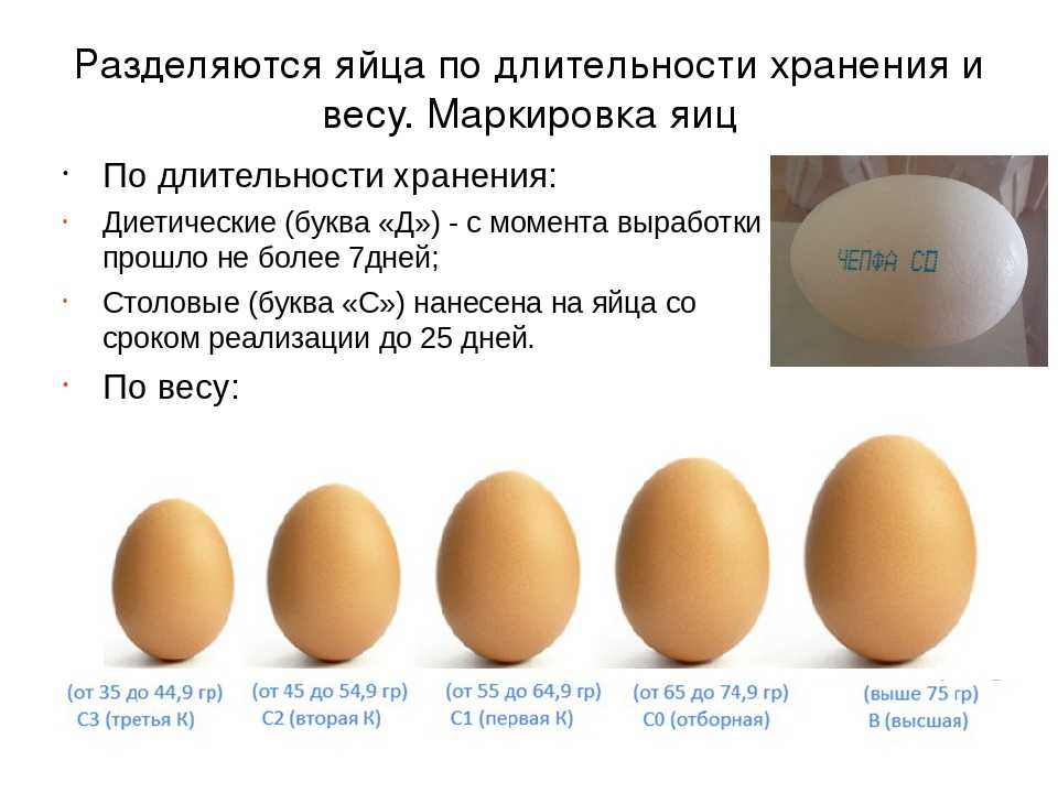 Все про хранение куриных яиц и срок их годности
