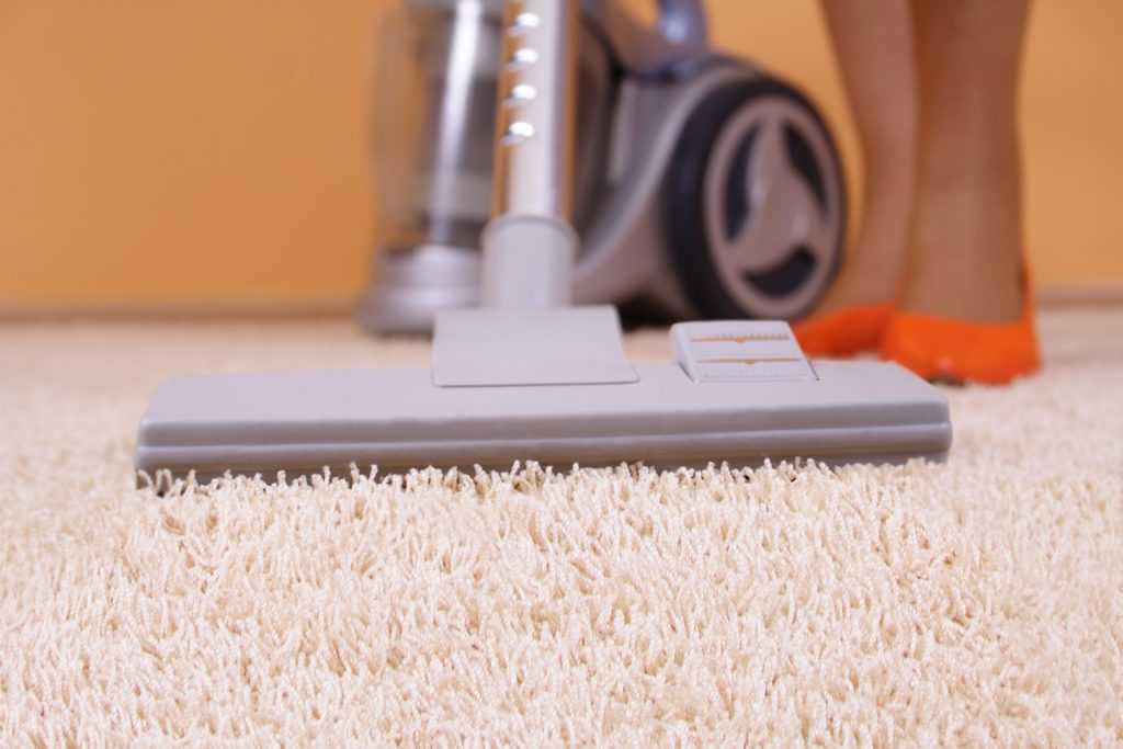 Как почистить ковер в домашних условиях быстро и эффективно, различные способы и средства для чистки паласов